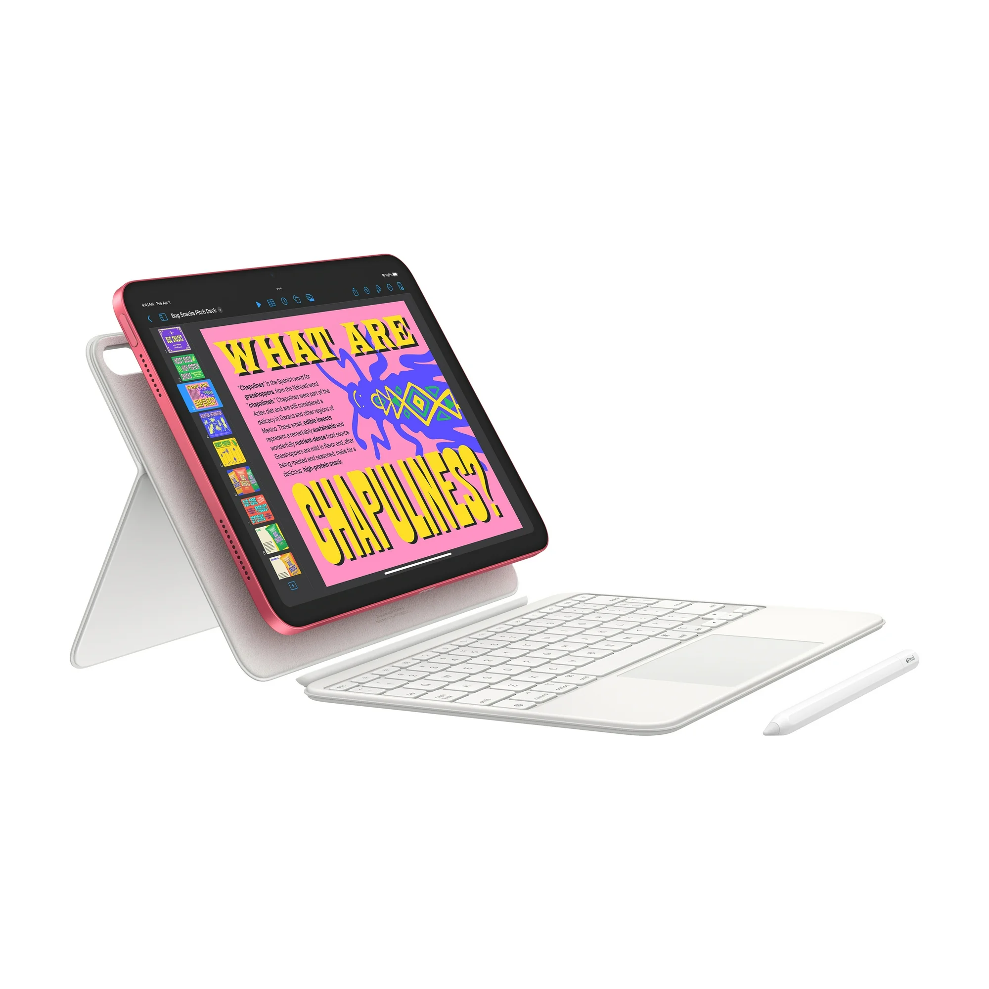 Apple ipad