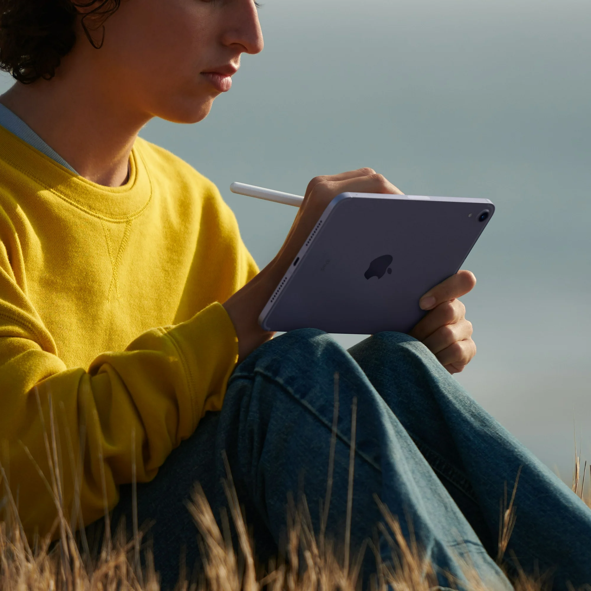 Apple ipad Mini